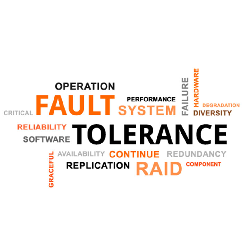 Fault-Tolerant Software